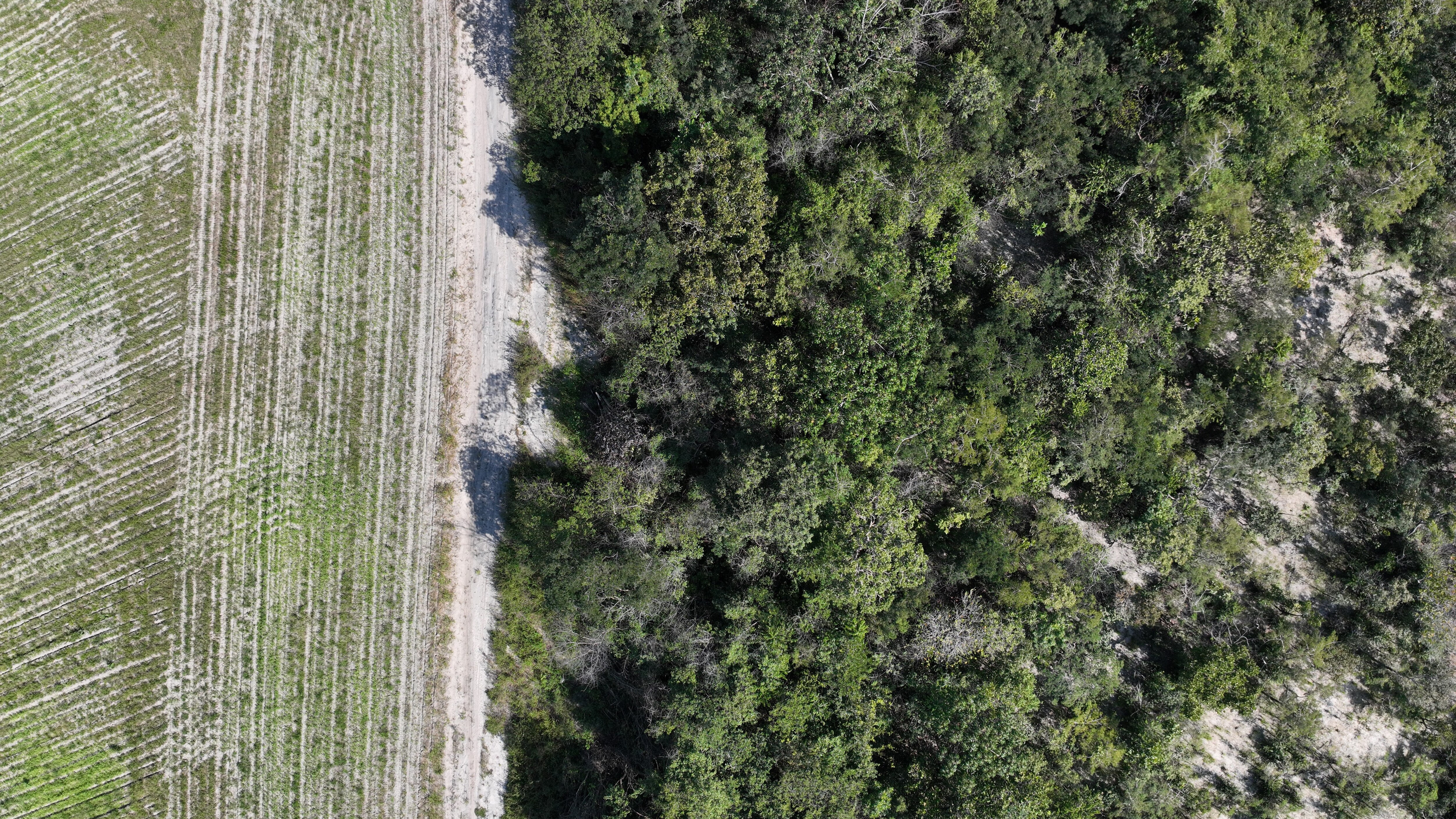 imagem capturada por drone